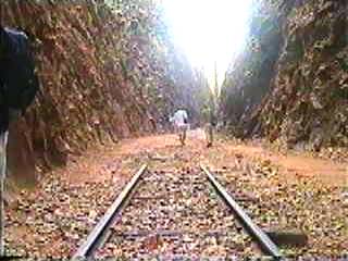Schienenreste zeugen noch von der ehemaligen Streckenfhrung.